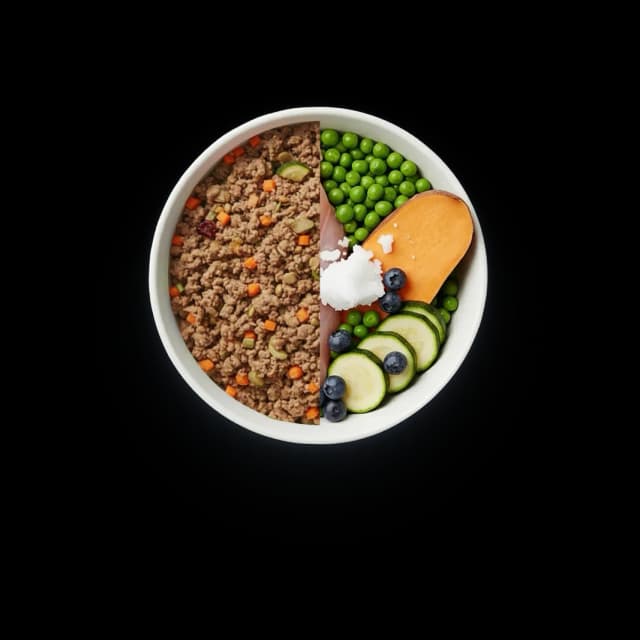 Dog food bowl for days 4 to 7