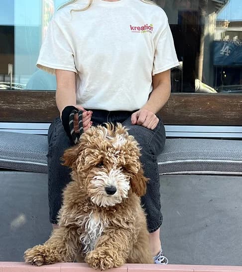 Dog sitting with its owner in a lifestyle portrait
